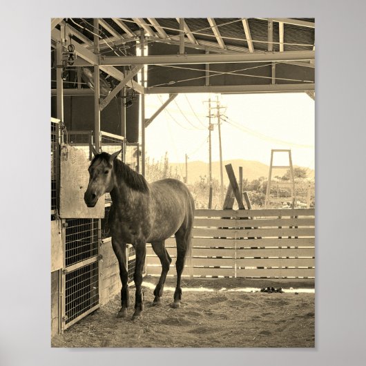 ケイメイ牧場 グラマーちゃん まるで置き物 POSTER (Vorne)