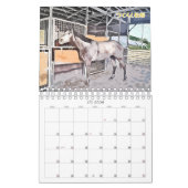 ケイメイ牧場　サラブレッドの引退馬　２頭のイラスト　ダブル KALENDER (Jan 2026)