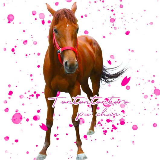 ケイメイ牧場　トントントントロちゃん　立ち姿＆総柄 TRAGETASCHE