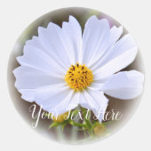 コスモス RUNDER AUFKLEBER (Vorderseite)