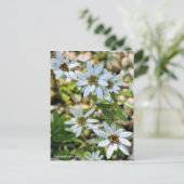 コ ウ ラ ウ ス キユソ POSTKARTE (Stehend Vorderseite)