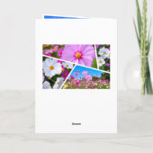 コ ス ス [花] KARTE (Rückseite)