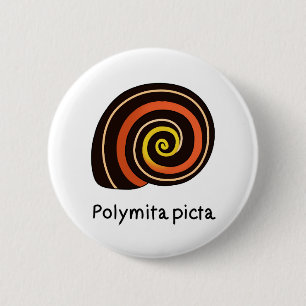 コ picta イ Polymita #4 Button