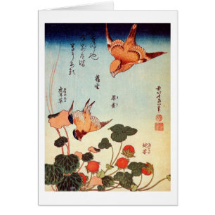 ゴ ヘ 小, 北 Bird und Mock Strawberry.