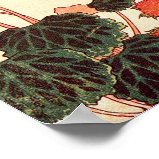 ゴ ヘ 小, 北 Bird und Mock Strawberry. Poster (Ecke)