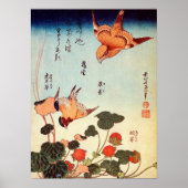 ゴ ヘ 小, 北 Bird und Mock Strawberry. Poster (Vorne)