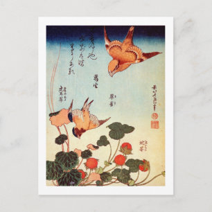 ゴ ヘ 小, 北 Bird und Mock Strawberry. Postkarte