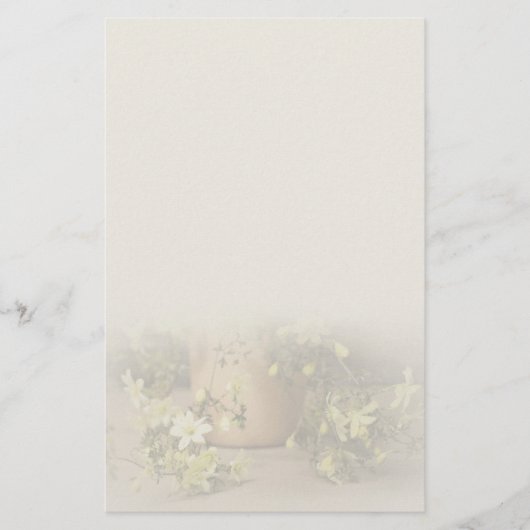 シックで上品なクレマチス・ペトリエイの便箋 BRIEFPAPIER (Vorderseite)