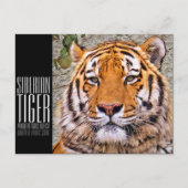 シベリアンタイガー ポストカード POSTKARTE (Vorderseite)