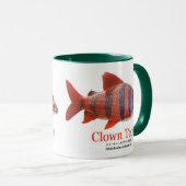 ショート・ノーズ・クラウン・テトラ TASSE (VorderseiteRechts)