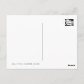 シロバナヒガンバナ POSTKARTE (Rückseite)