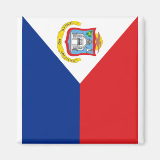 シ ・ テ の 縦. MAGNET