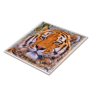 シ リ ア タ ガ ル タベ FLIESE