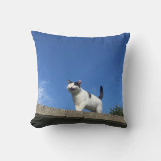 シ Cushion singen 歌 う beim 猫ョ. Kissen