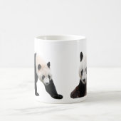 ジャイアントパンダのマグカップ KAFFEETASSE (Mittel)