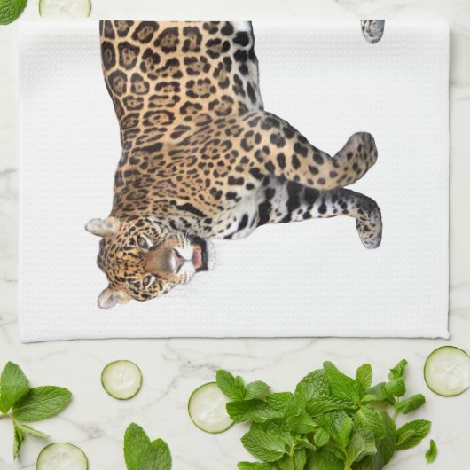 ジャガー KÜCHENTUCH (Gefaltet)