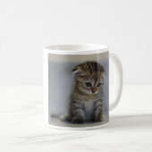 スコティッシュフォールド子猫 マグカップ KAFFEETASSE (VorderseiteRechts)