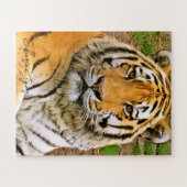 ズ Sibirien Tiger グ ソ ル. Puzzle (Horizontal)