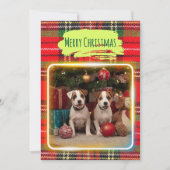 チェック柄がかわいいジャックラッセルテリアの子犬たちとクリスマス♡ FEIERTAGSKARTE (Vorderseite)