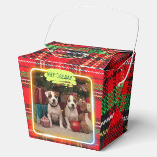 チェック柄がかわいいジャックラッセルテリアの子犬たちとクリスマス♡ GESCHENKSCHACHTEL