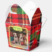 チェック柄がかわいいジャックラッセルテリアの子犬たちとクリスマス♡  GESCHENKSCHACHTEL (Offen)