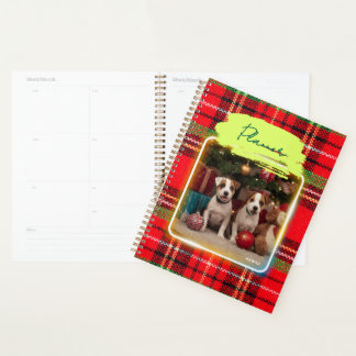 チェック柄がかわいいジャックラッセルテリアの子犬たちとクリスマス♡ PLANER