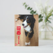 テウグ年ニ20ズ218 POSTKARTE (Stehend Vorderseite)