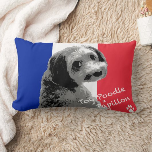 トイプードル×パピヨン LENDENKISSEN (Decke)