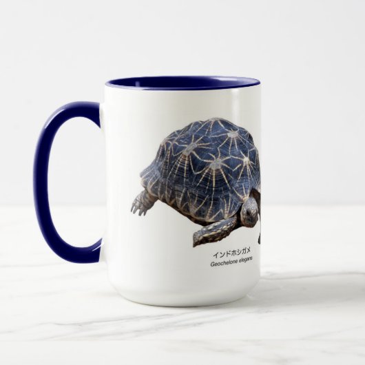 ド シ TASSE (Links)