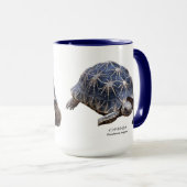 ド シ TASSE (VorderseiteRechts)