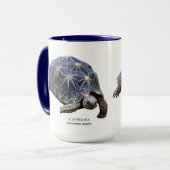 ド シ TASSE (Vorderseite Links)