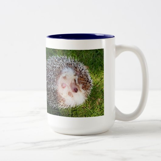 ハリネズミのマグカップ ZWEIFARBIGE TASSE (Rechts)