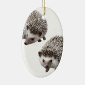 ハリネズミの優良製品 KERAMIKORNAMENT (Rechts)