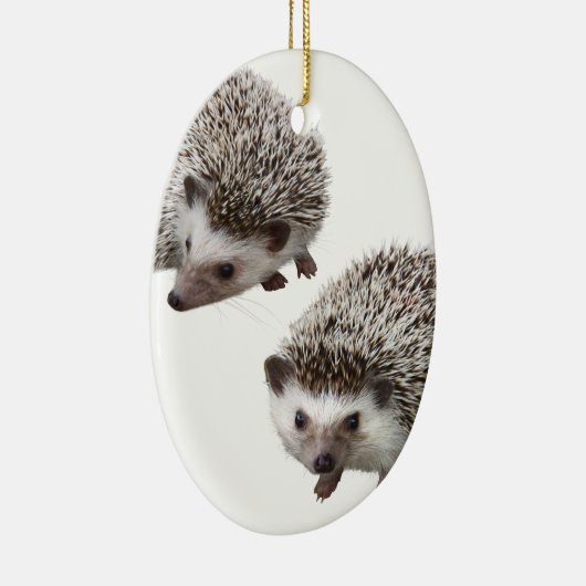 ハリネズミの優良製品 KERAMIKORNAMENT (Rechts)