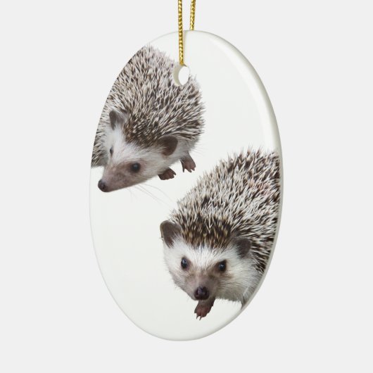 ハリネズミの優良製品 KERAMIKORNAMENT (Links)