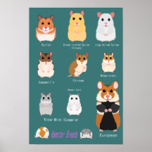 ハ ム ス タ の 類 種