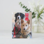 バーニーズマウンテンドッグとワイルドミックスドッグ　年賀状　2018年　戌年 POSTKARTE (Stehend Vorderseite)