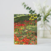 ヒガンバナ POSTKARTE (Stehend Vorderseite)
