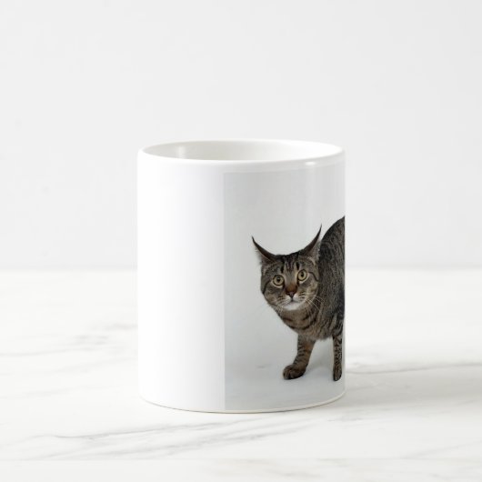 ピクシーボブ マグカップ KAFFEETASSE (Mittel)