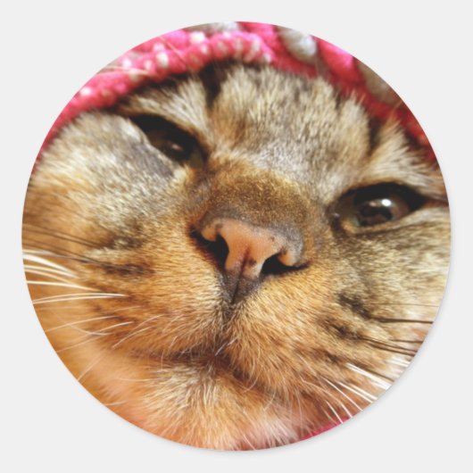 ピンク帽子のチャド RUNDER AUFKLEBER (Vorderseite)