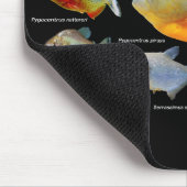 ピ ラ ニ ア 製 品 の MOUSEPAD (Ecke)