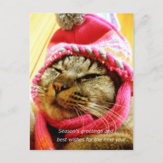 ピ 子 ド帽の(縦:年 末 POSTKARTE