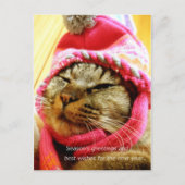 ピ 子 ド帽の(縦:年 末 POSTKARTE (Vorderseite)