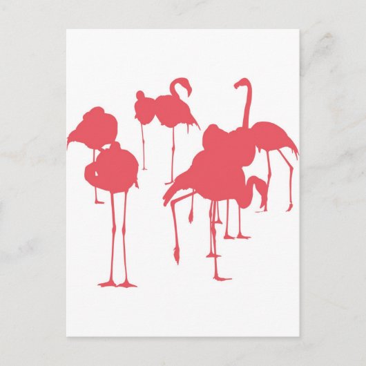 フ ラ ゴ POSTKARTE (Vorderseite)