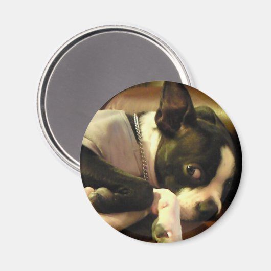 ブチ マグネット 丸 MAGNET (Vorderseite/Rückseite)