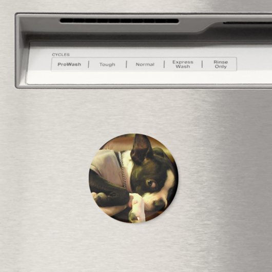 ブチ マグネット 丸 MAGNET (In Situ (Geschirrspüler))