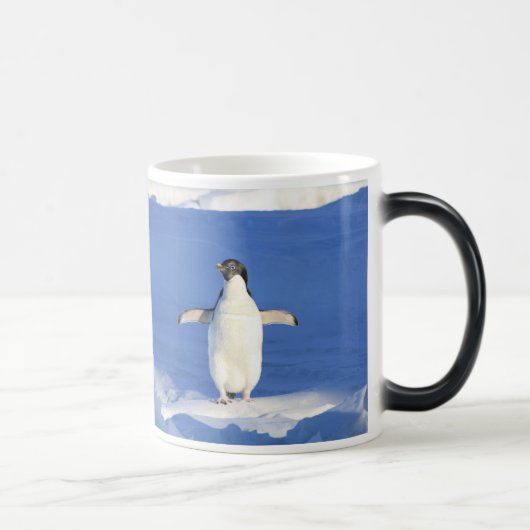 ペンギン VERWANDLUNGSTASSE (Rechts)