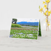 ホテイアオイ(花) カード KARTE (Gelbe Blume)