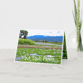 ホテイアオイ（花） カード KARTE