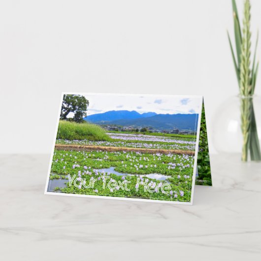 ホテイアオイ(花) カード KARTE (Vorderseite)